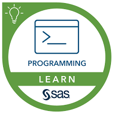 SAS Programming